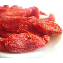 Baies de Goji séchées de haute qualité Ningxia (WolfBerry)